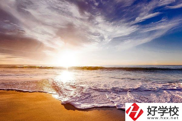桃源縣機電成人中專學校有什么專業？學生滿意度如何？