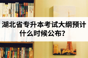 湖北省專升本考試大綱預計什么時候公布？現階段怎么備考比較好？