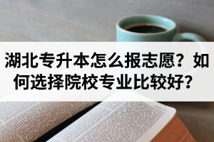 湖北省專升本怎么報志愿？如何選擇填報院校專業比較好？