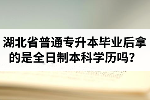 湖北省普通專升本畢業后拿的是全日制本科學歷嗎？
