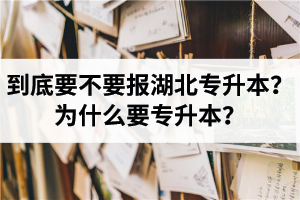 到底要不要報湖北專升本？為什么要專升本？
