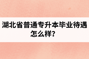 湖北省普通專升本畢業待遇怎么樣？