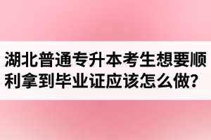 湖北普通專升本考生想要順利拿到畢業證應該怎么做？