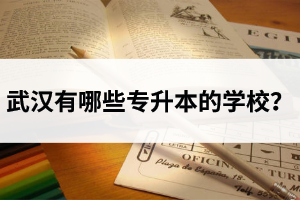 武漢有哪些專升本的學校？