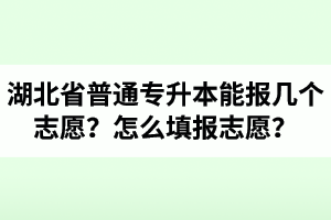 湖北省普通專升本能報幾個志愿？怎么填報志愿？