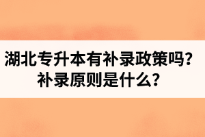 湖北專升本有補錄政策嗎？補錄原則是什么？
