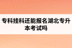 ?？茠炜七€能報名湖北專升本考試嗎？在哪里能獲取最新的專升本資訊？