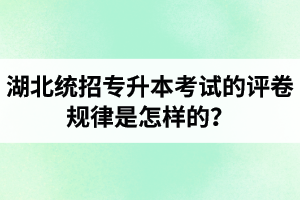 湖北統招專升本考試的評卷規律是怎樣的？怎么避免丟失細節分？