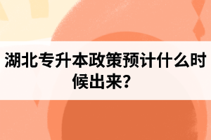 湖北專升本政策預計什么時候出來？報名前需要做好哪些事情？