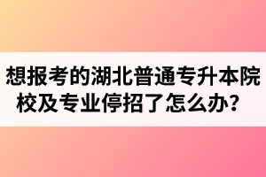 想報考的湖北普通專升本院校及專業停招了怎么辦？