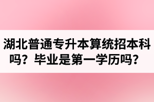 湖北普通專升本算統招本科嗎？專升本學歷是第一學歷嗎？