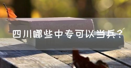 四川哪些中?？梢援敱?？(圖1)