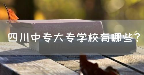 四川中專大專學校有哪些？(圖1)