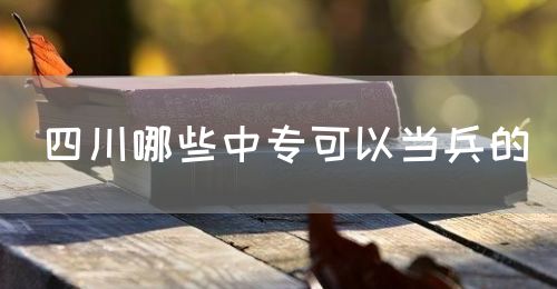 四川哪些中?？梢援敱?圖1)