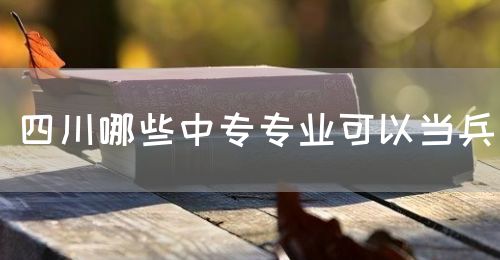 四川哪些中專專業可以當兵(圖1)