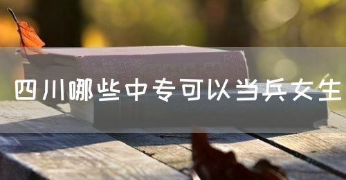 四川哪些中?？梢援敱?圖1)