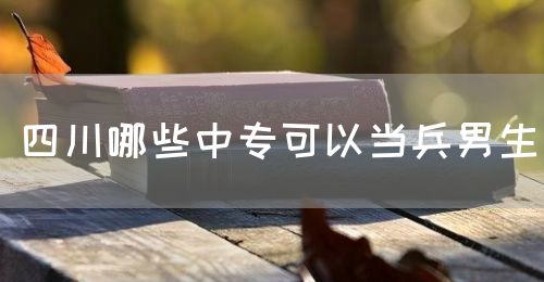 四川哪些中?？梢援敱猩?圖1)