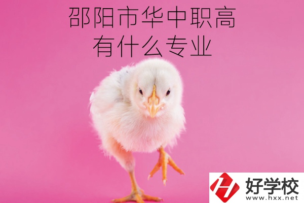 邵陽市華中職高有什么專業?