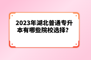 2023年湖北普通專升本有哪些院校選擇？