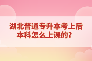 湖北普通專升本考上后本科怎么上課的？