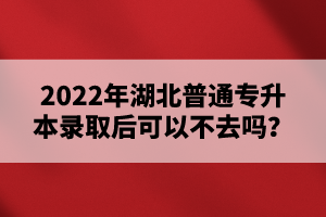 2022年湖北普通專升本錄取后可以不去嗎？