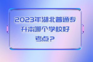2023年湖北普通專升本哪個學校好考點？