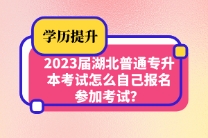 2023屆湖北普通專升本考試怎么自己報名參加考試？
