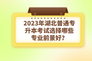 2023年湖北普通專升本考試選擇哪些專業前景好？