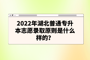 2022年湖北普通專升本志愿錄取原則是什么樣的？