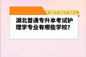 湖北普通專升本考試護理學專業有哪些學校？
