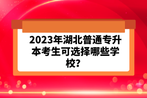 2023年湖北普通專升本考生可選擇哪些學校？