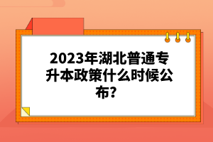 2023年湖北普通專升本政策什么時候公布？