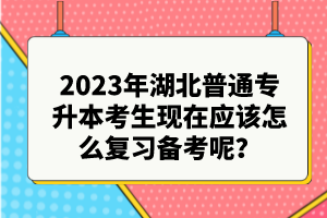 2023年湖北普通專升本考生現在應該怎么復習備考呢？