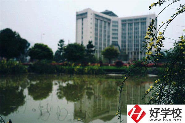 湘西有哪些重點技?？梢酝扑]？學校特色是什么？