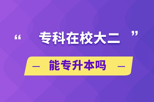 ?？圃谛４蠖軐Ｉ締? /></p><p style=