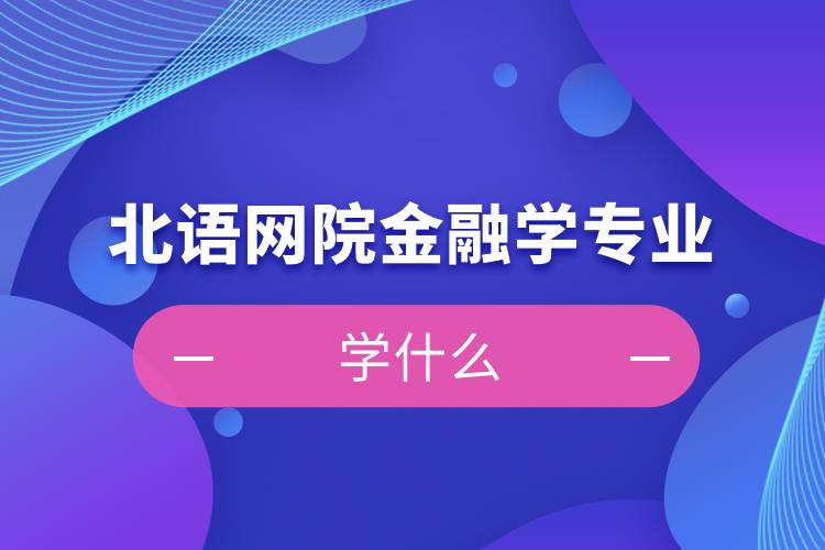 北語網院金融學專業學什么