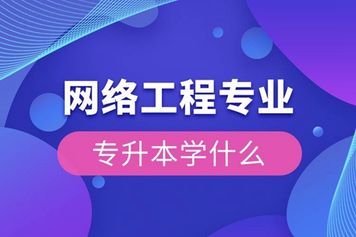 網絡工程專業專升本學什么