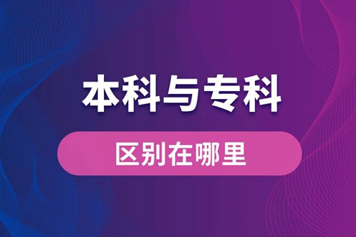 本科與?？频膮^別在哪里