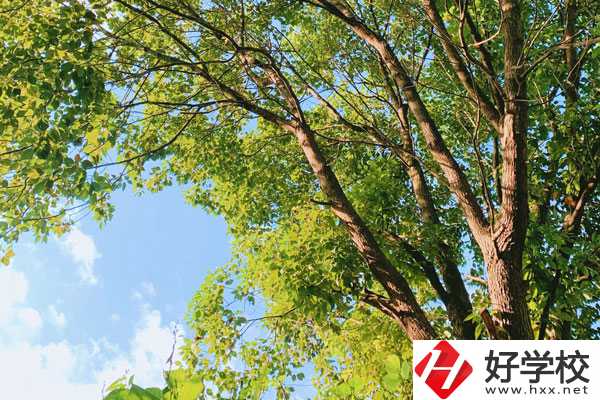 衡陽南華科技學校教學質量怎么樣？