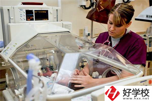 湖南中職學校開設最多的專業有哪些？就業前景怎么樣？