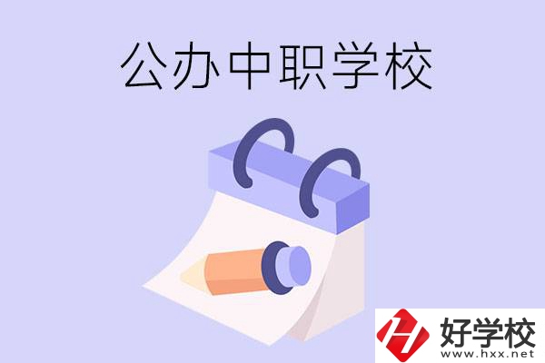 湖南公辦中職學校有哪些辦學規模比較大的？