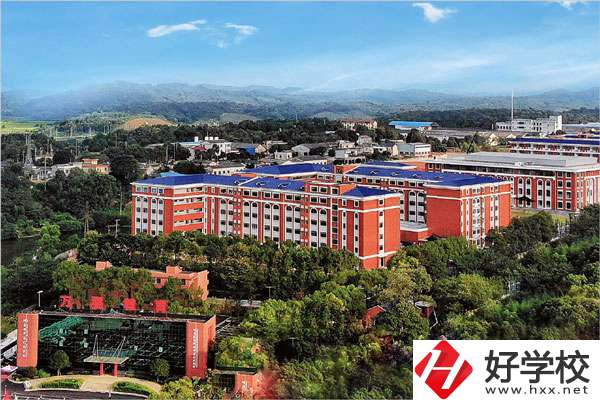 湖南醫藥職業中等專業學校全貌