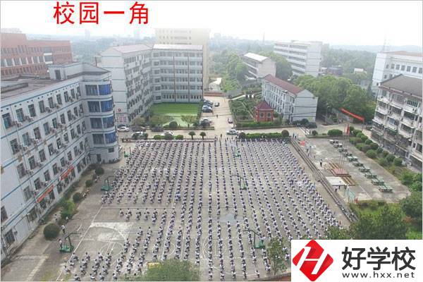 桃江縣職業中專學校校園