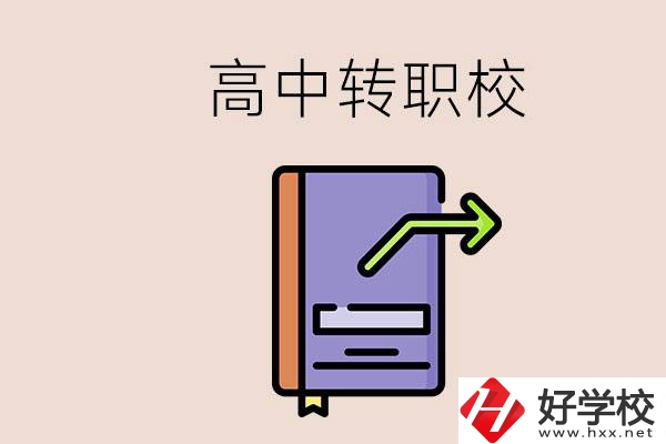 有在讀高中不想讀轉職校的例子嗎？能轉到湖南職校嗎？