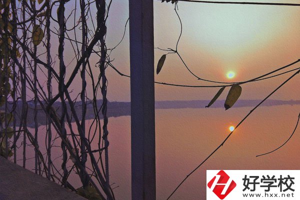 張家界的中職學校學什么專業好？哪些專業前景佳？