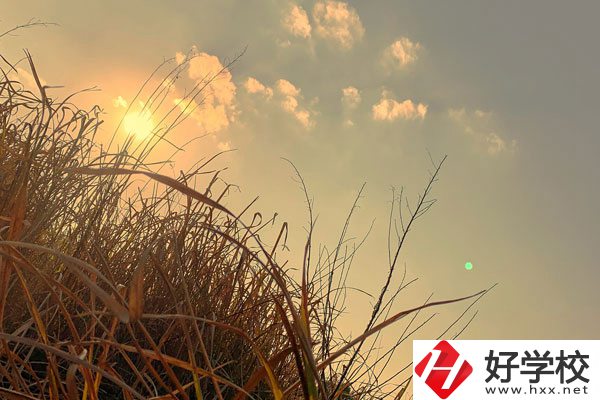 衡陽市瀟湘衛生中等專業學校宿舍環境以及食堂怎么樣？