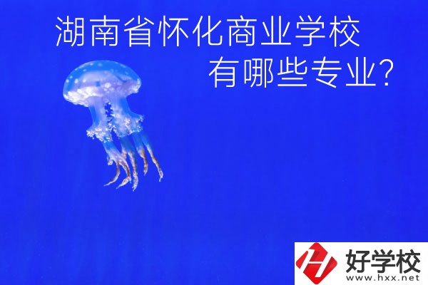 湖南省懷化商業學校好不好？有哪些專業？