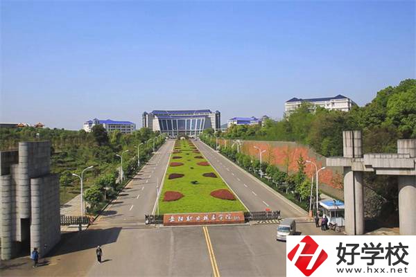 岳陽有哪些招收初中生的公辦大專？招生專業有哪些？