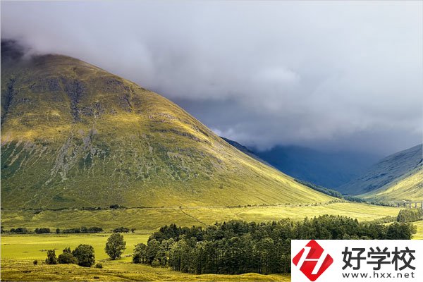 在湖南讀中專，哪些專業就業前景比較好？