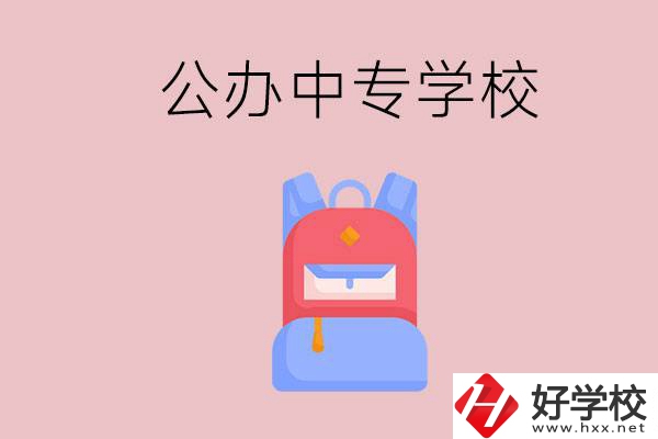婁底有什么公辦中專學校？教學怎么樣？